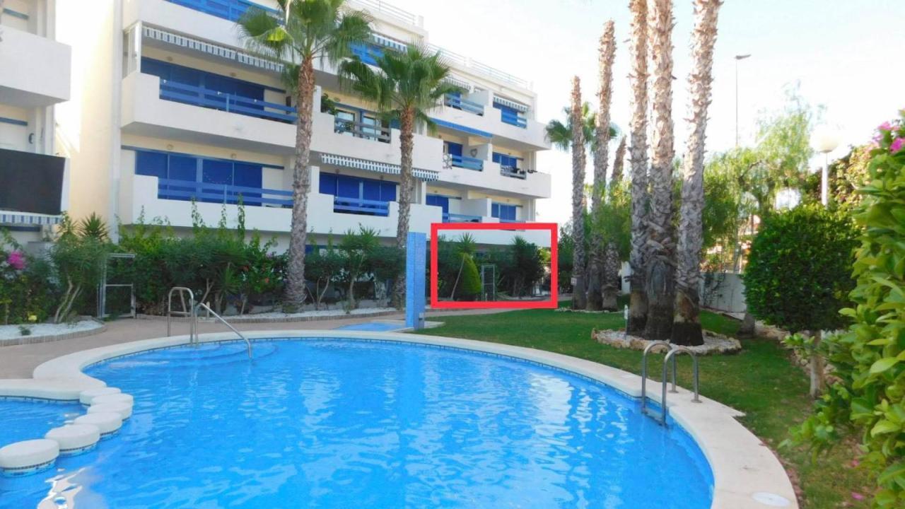 Coral House - La Calma - Playa Flamenca - Big Terrace & 4 Swimming Pools. Appartement Buitenkant foto